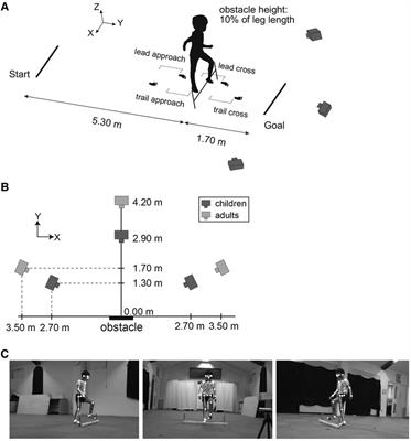 Dynamic stability during level walking and obstacle crossing in children aged 2–5 years estimated by marker-less motion capture